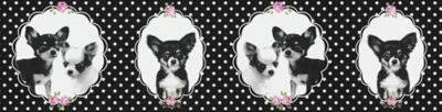 A.S. Creation A.S. CRÉATION Vliesbordüre Little Stars, Hunde, Schwarz/rosa, 5 M X 13 Cm 3 A.S. Creation A.S. CRÉATION Vliesbordüre Little Stars, Hunde, Schwarz/rosa, 5 M X 13 Cm – Bild 3