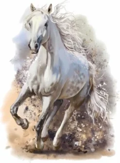 Nikima Wandtattoo 179 Pferd Weiß - Mädchen Kinderzimmer Sticker In 5 Vers. Größen Wandtattoos