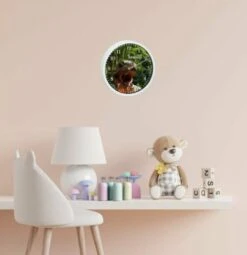 CreaDesign Kinder Wanduhr Laufruhig Personalisiert Mit Name T-Rex -Komar Verkäufe 20299542 05