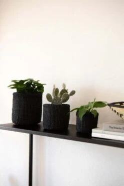 LaLe Living Korb 3er Set Elani Aus Sisal 8 LaLe Living Korb 3er Set Elani Aus Sisal -Komar Verkäufe 26106018 04