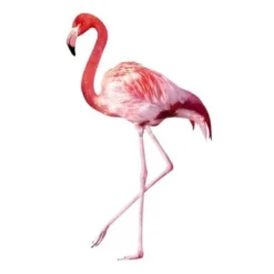 Bilderwelten Wandtattoo No.YK21 Pink Flamingo