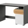 Feldmann-Wohnen Schreibtisch Computertisch Carina 120cm 1-türig Mit 2 Offenen Fächern