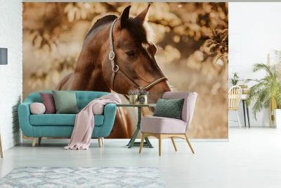 MuchoWow Fototapete - Zimmer - Wandtapete - Pferd - Sonne - Porträt - Natur - Braun 2 MuchoWow Fototapete - Zimmer - Wandtapete - Pferd - Sonne - Porträt - Natur - Braun – Bild 2
