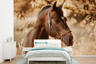 MuchoWow Fototapete - Zimmer - Wandtapete - Pferd - Sonne - Porträt - Natur - Braun 3 MuchoWow Fototapete - Zimmer - Wandtapete - Pferd - Sonne - Porträt - Natur - Braun – Bild 3