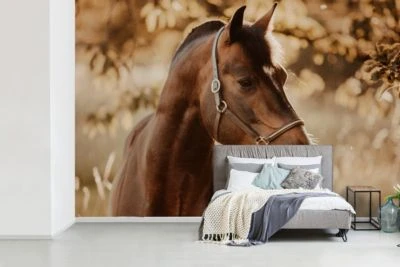 MuchoWow Fototapete - Zimmer - Wandtapete - Pferd - Sonne - Porträt - Natur - Braun 5 MuchoWow Fototapete - Zimmer - Wandtapete - Pferd - Sonne - Porträt - Natur - Braun – Bild 5