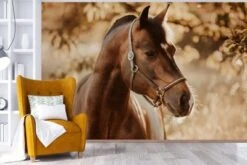 MuchoWow Fototapete - Zimmer - Wandtapete - Pferd - Sonne - Porträt - Natur - Braun 11 MuchoWow Fototapete - Zimmer - Wandtapete - Pferd - Sonne - Porträt - Natur - Braun -Komar Verkäufe 29864008 06
